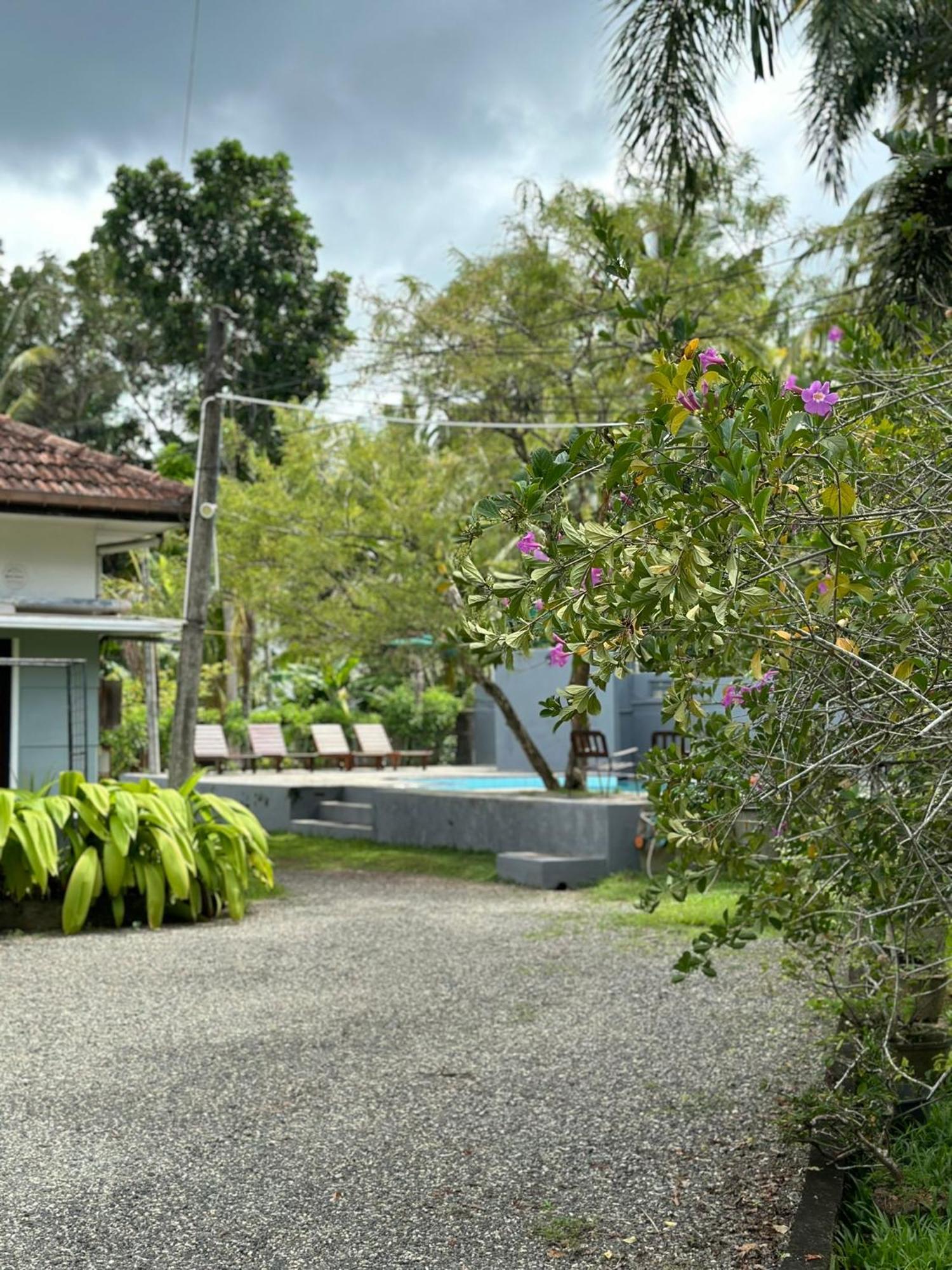 Mango Tree Villa Unawatuna Exterior photo
